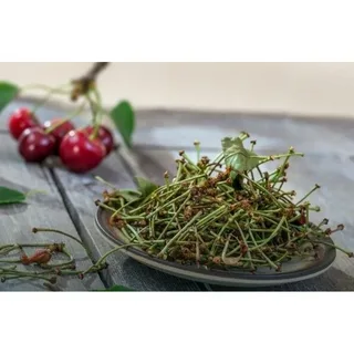 فروش گیلاس خشک با هسته، طعمی طبیعی با خواص دارویی